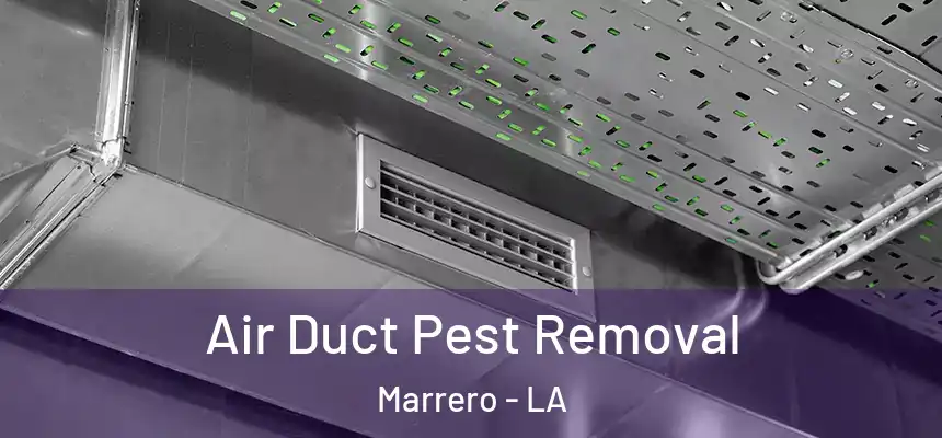  Air Duct Pest Removal Marrero - LA