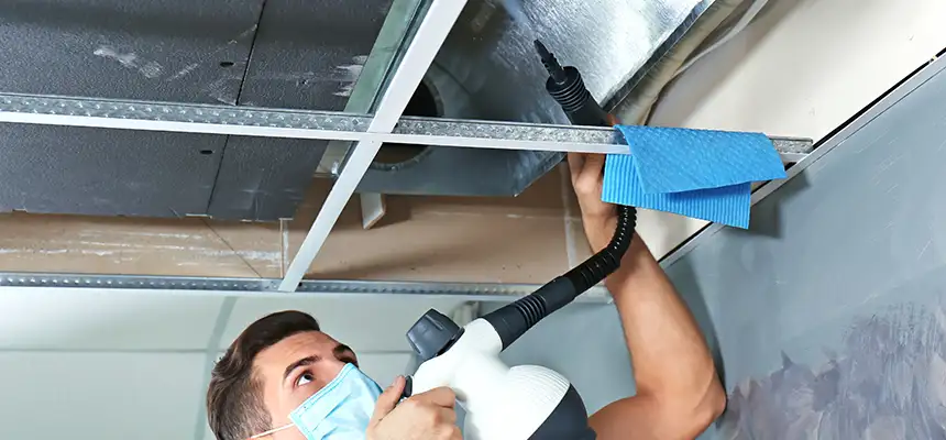 Our Air Duct Rodent Removal Services in Marrero, LA