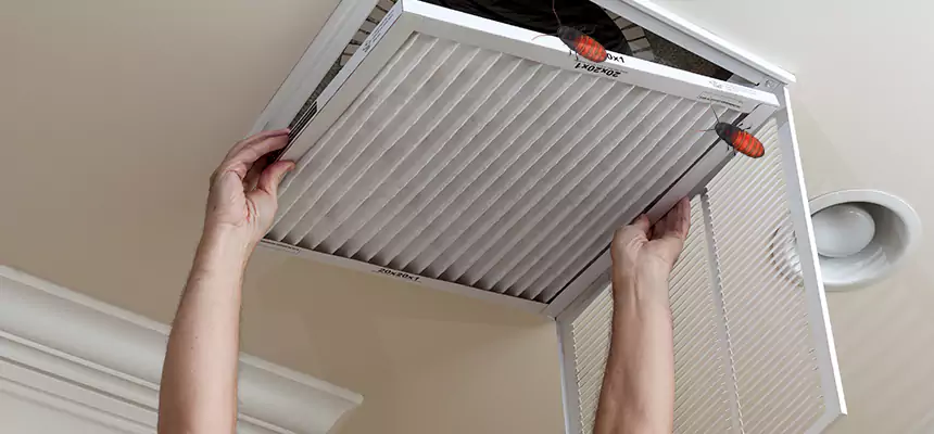 Our Insect Removal from Air Ducts Services in Marrero, LA