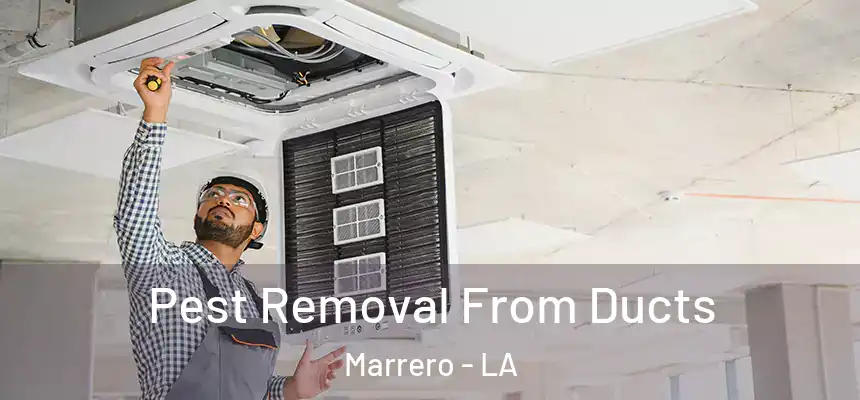Pest Removal From Ducts Marrero - LA