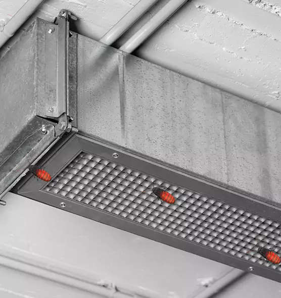 About Air Duct Cockroach Removal in Marrero, LA