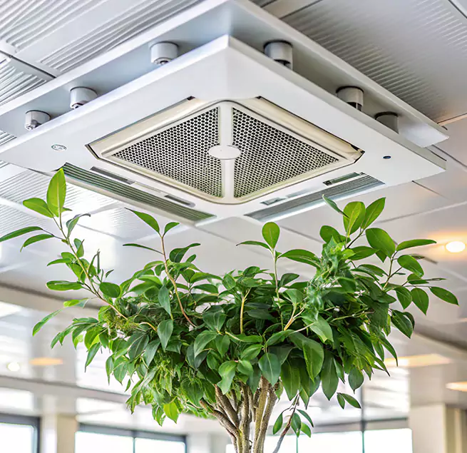 Why Homeowners & Businesses Trust Us in Marrero, LA?